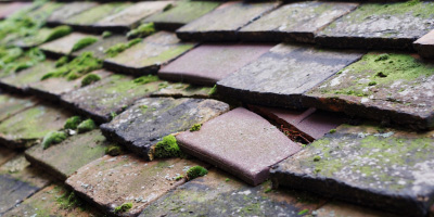 Horeb roof repair costs
